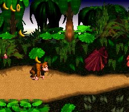 Donkey Kong Country